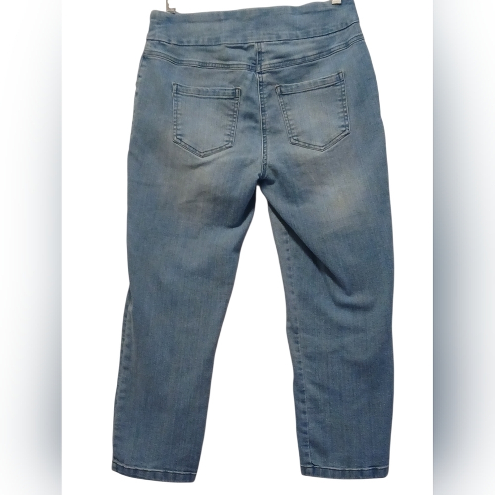 Westbound - NWOT, Denim Jeans, Front Slimming Panel, 5 Pocket Style, Size 6P - Picture 5 of 7